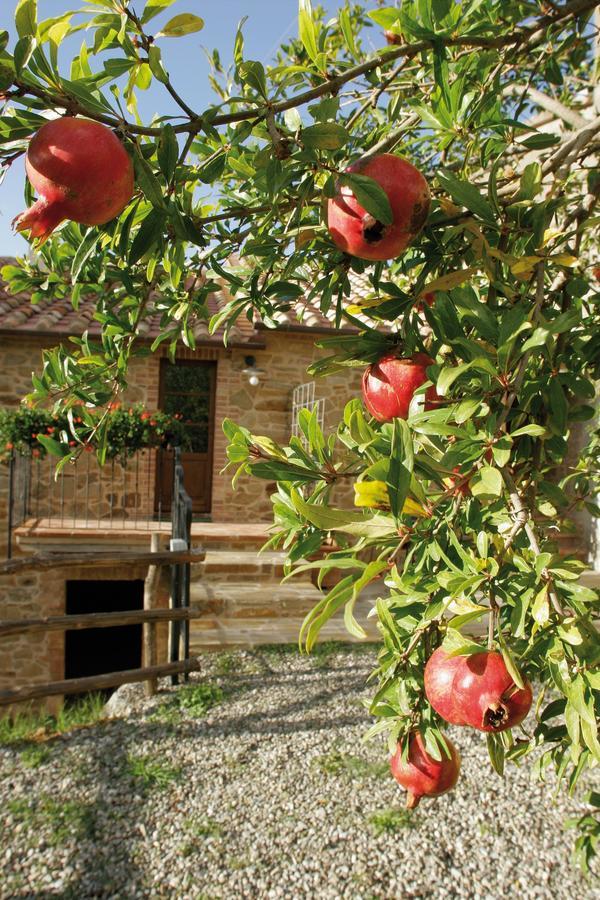 Apartamento Agriturismo Le Calle Cinigiano Exterior foto