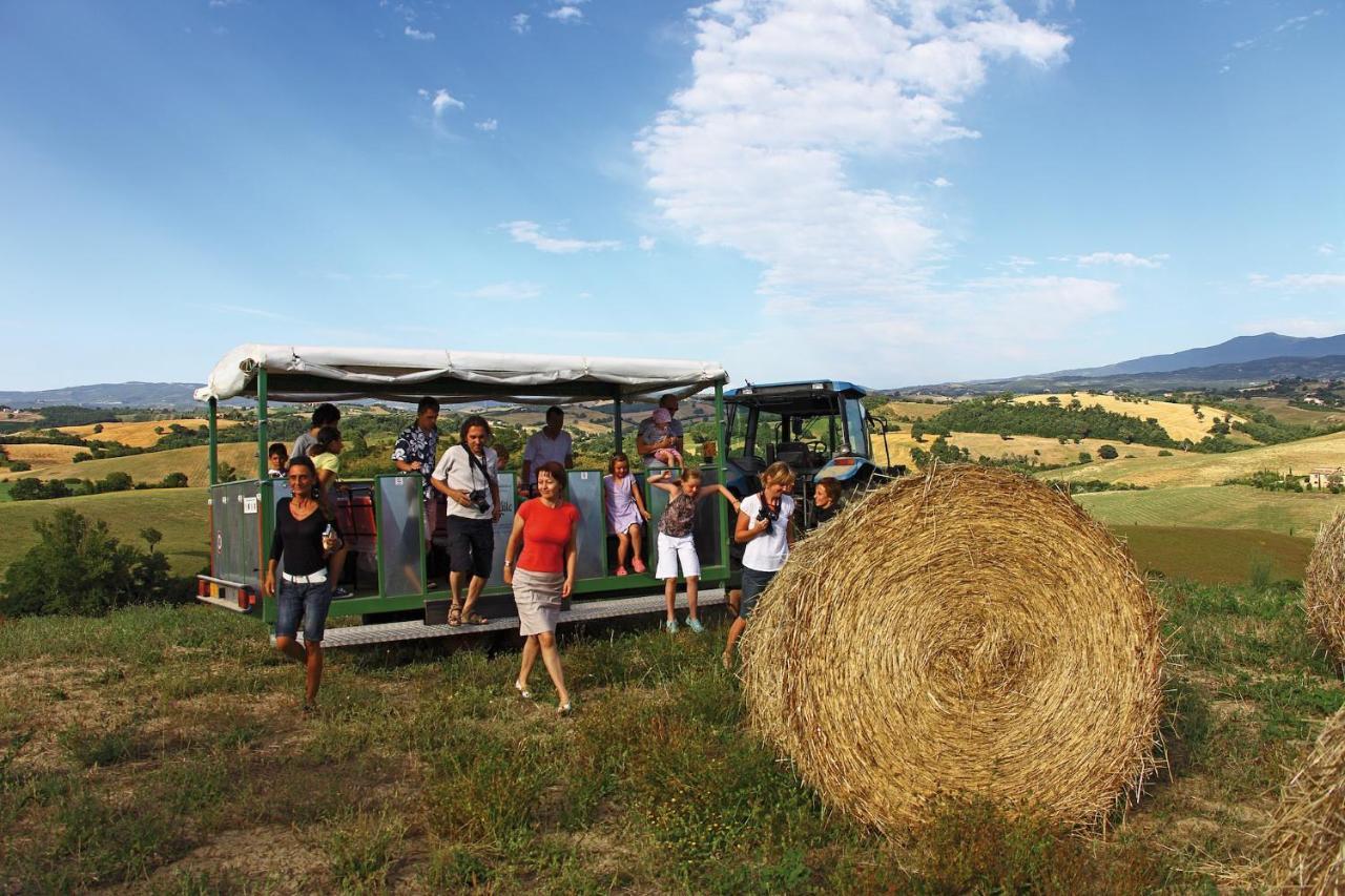 Apartamento Agriturismo Le Calle Cinigiano Exterior foto